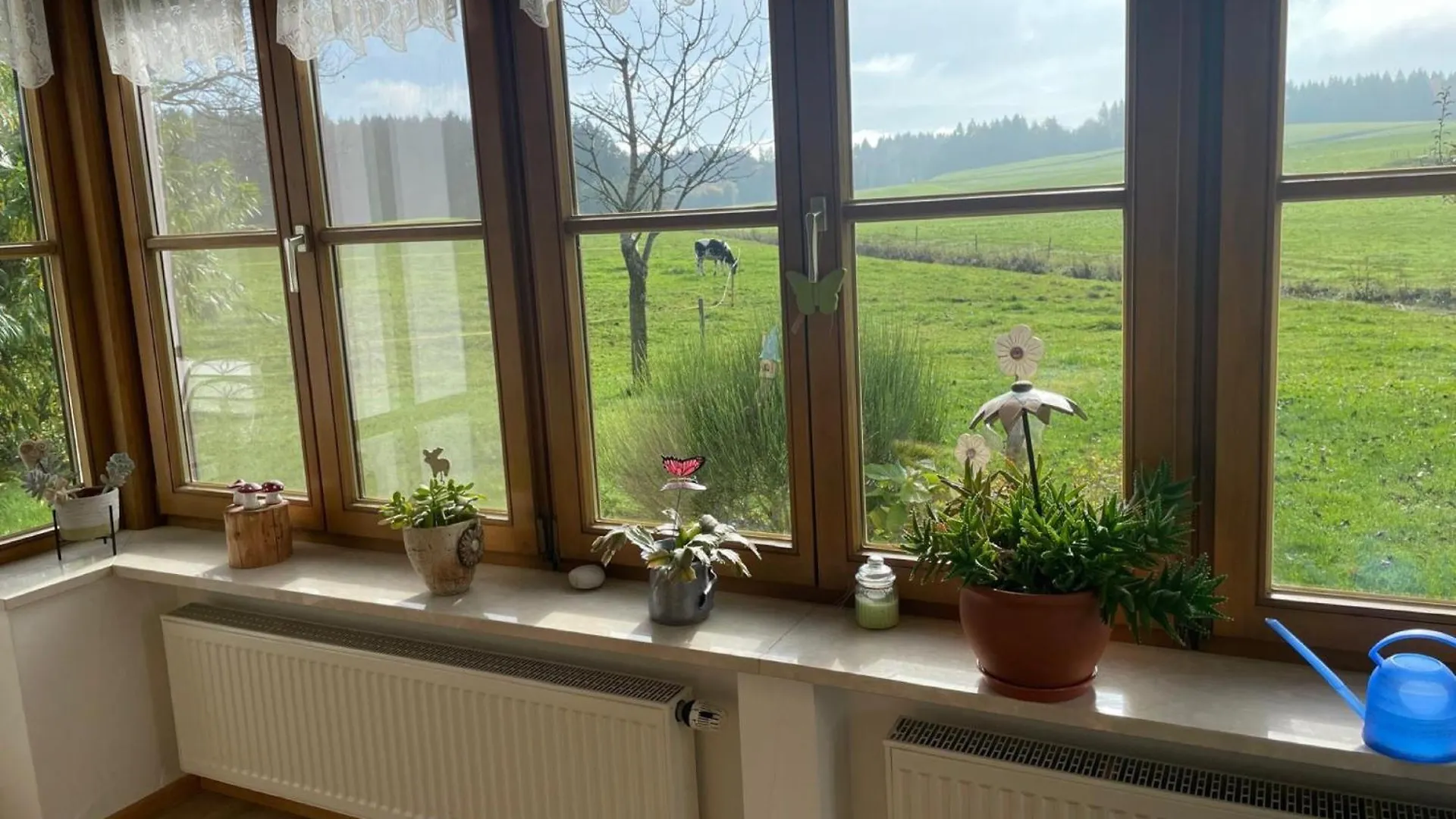 Apartment Ferienwohnung Am Schusterhof Wonneberg